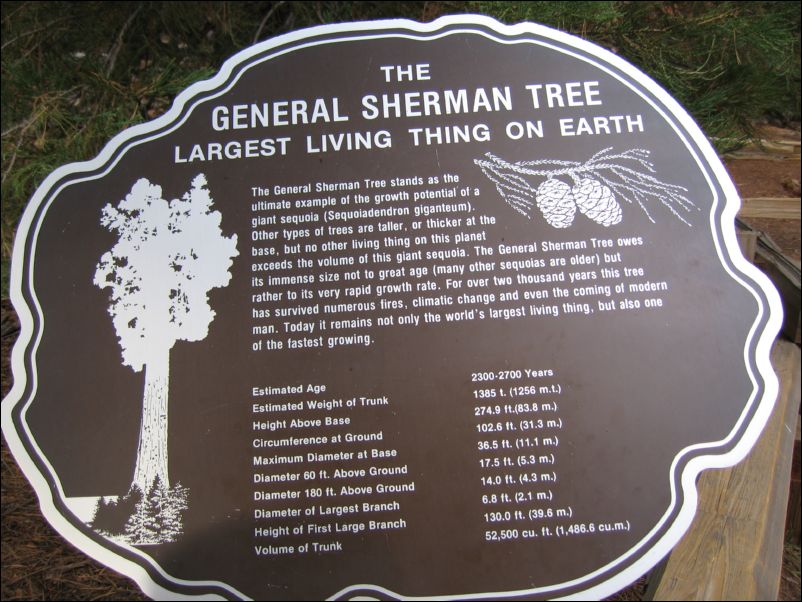 2006-11-04 Fresno Dome (18) Sherman stats